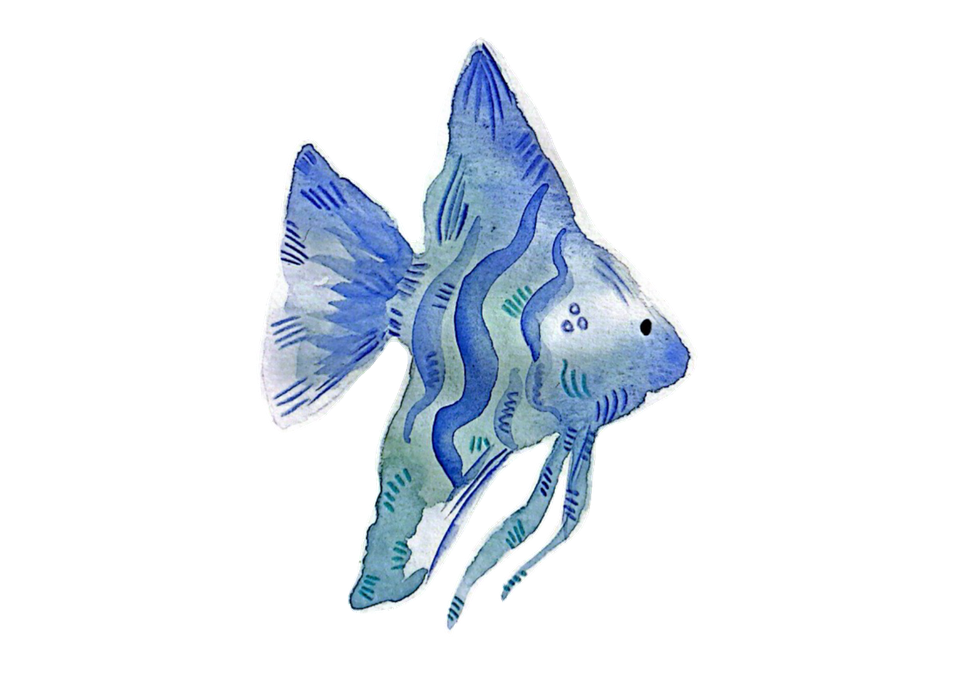 Poisson bleu
